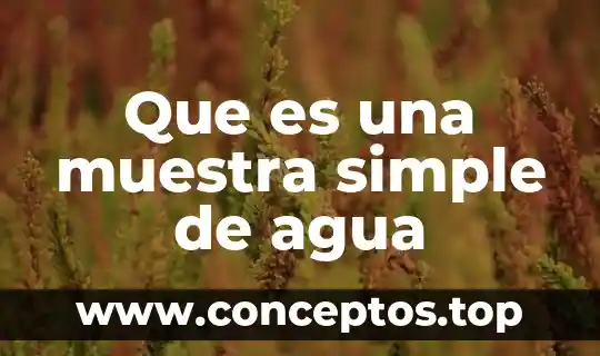 Que es una muestra simple de agua