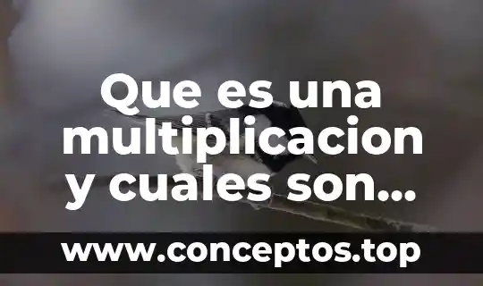 Que es el dhl y cuales son sus valores 5 Que es una multiplicacion y cuales son sus componentes