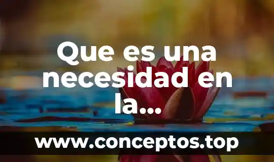 Que es una necesidad en la investigacion cientifica