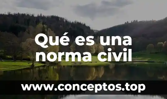 Qué es una norma civil