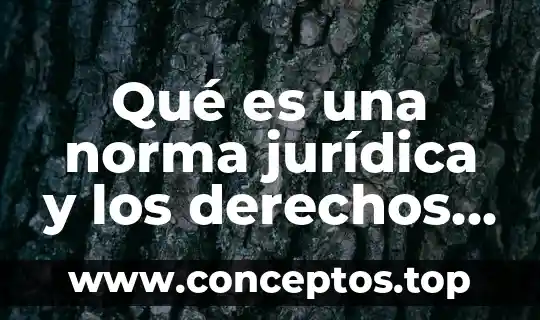 Que es el personal pirateable recursos humanos 8 Qué es una norma jurídica y los derechos humanos