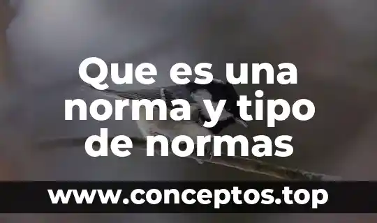 Que es una norma y tipo de normas