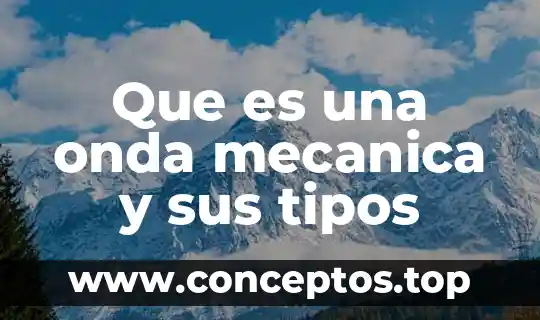 Que es eutanasia y tipos de eutanasia 5 Que es una onda mecanica y sus tipos