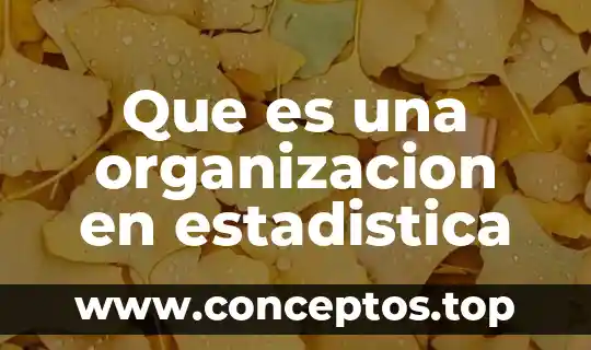 Que es una organizacion en estadistica