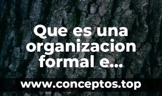 Que es una organizacion formal e informal