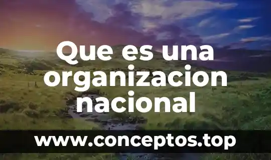 Que es una organizacion nacional