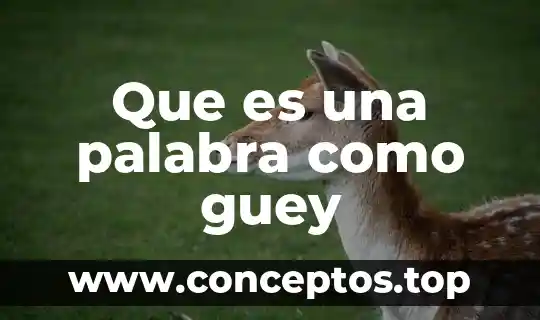 Qué es el significado de la palabra litro 8 Que es una palabra como guey