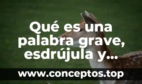 Qué es una palabra grave, esdrújula y aguda