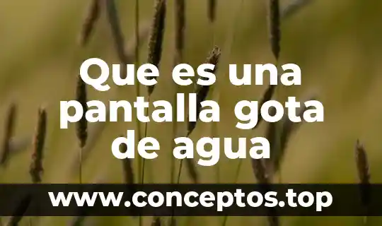 Que es una pantalla gota de agua