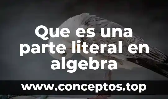 Que es una parte literal en algebra