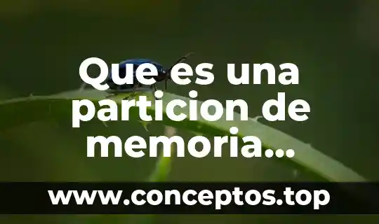 Que es una particion de memoria sistemas operativos