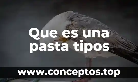Que es un cuento y tipos de narrador 6 Que es una pasta tipos