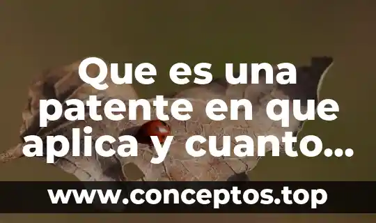 Que es una patente en que aplica y cuanto dura