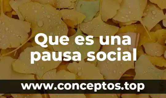 Que es una pausa social