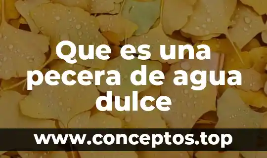 Que es una pecera de agua dulce