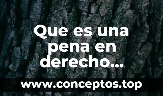 Que es una pena en derecho codigo penal