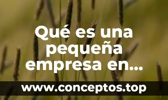 Que es solemnes significado biblico 5 Qué es una pequeña empresa en México