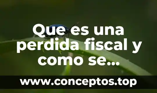Qué es un número crítico y cómo se obtiene 3 Que es una perdida fiscal y como se obtiene