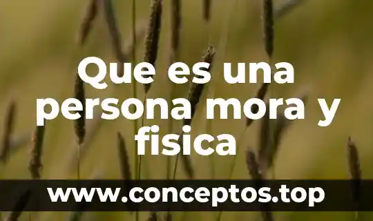 Que es una persona mora y fisica