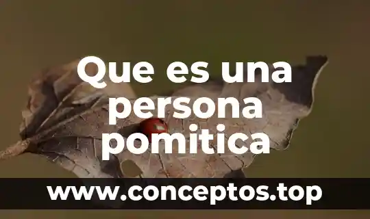 Que es una persona pomitica