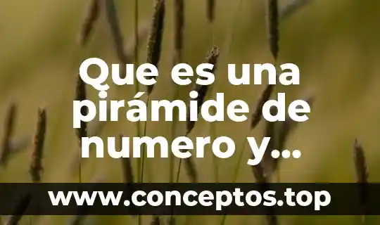 Número de contacto que es 7 Que es una pirámide de numero y biomasa y función
