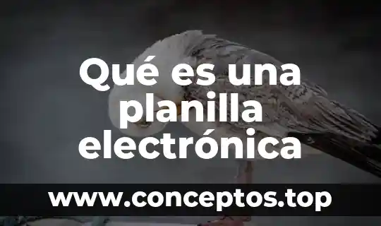 Qué es una planilla electrónica