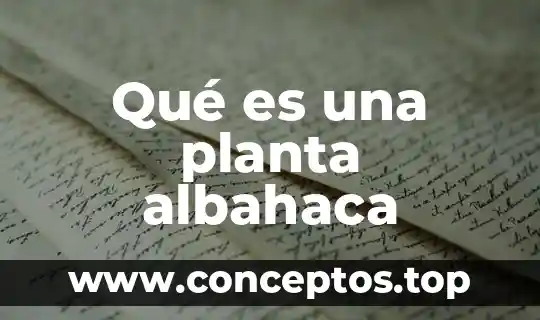 Que es una planta erecta 8 Qué es una planta albahaca