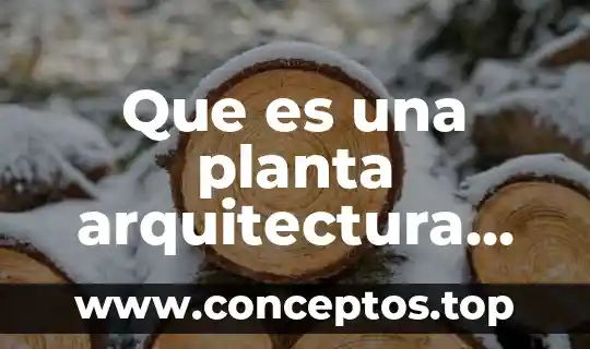 Que es una planta arquitectura centrifuga