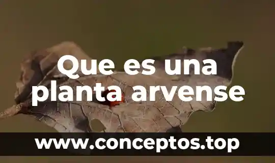 Que es una planta arvense
