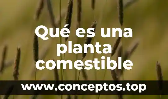 Qué es una planta comestible
