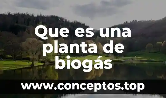 Que es una planta de biogás