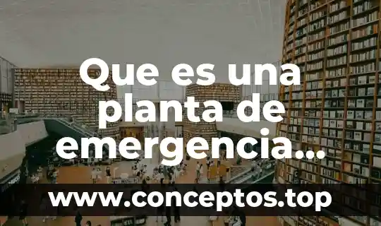 Que es la emergencia de una planta 6 Que es una planta de emergencia politecnico nacional