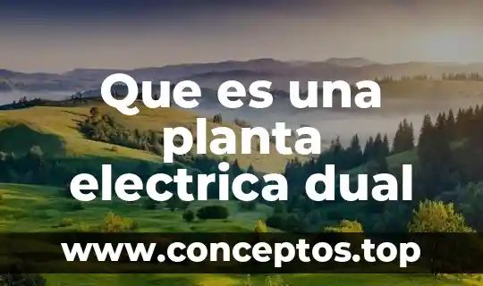 Que es fallos de una planta 4 Que es una planta electrica dual