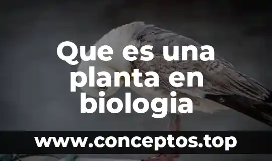Que es una planta en biologia
