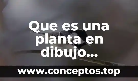 Que es una planta en dibujo arquitectonico