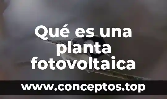 Que es la planta del magallo 3 Qué es una planta fotovoltaica