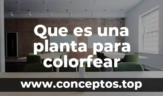Planta de reciclaje que es 3 Que es una planta para colorfear
