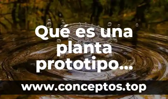 Planta de reciclaje que es 5 Qué es una planta prototipo industrial