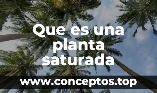 Que es una planta saturada