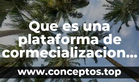 Que es una plataforma de cormecializacion definicion