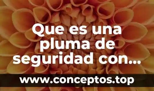 Que es una pluma de seguridad con imformacion