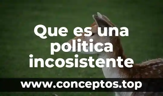 En que es la politica 5 Que es una politica incosistente