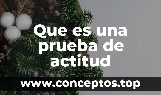 Que es una prueba de actitud