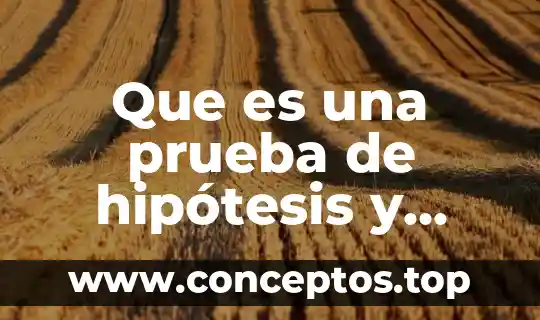 Que es una prueba de hipótesis y tipos