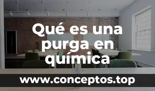 Qué es una purga en química