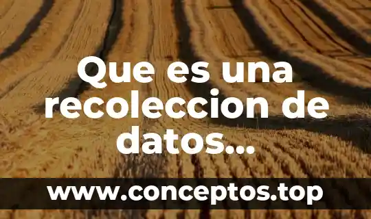 Que es una recoleccion de datos estadisticos