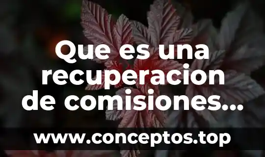 Que es una recuperacion de comisiones medical sur