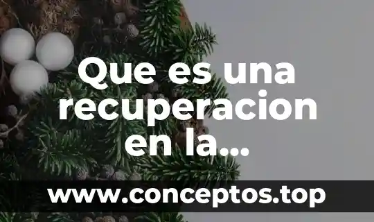Que es una recuperacion en la informatica