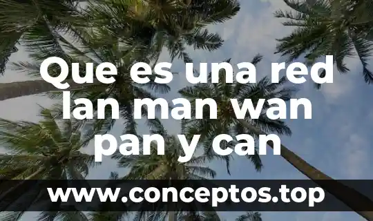 Que es una red lan man wan pan y can