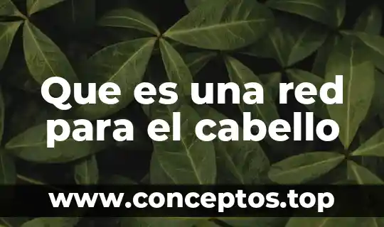 Que es una red para el cabello